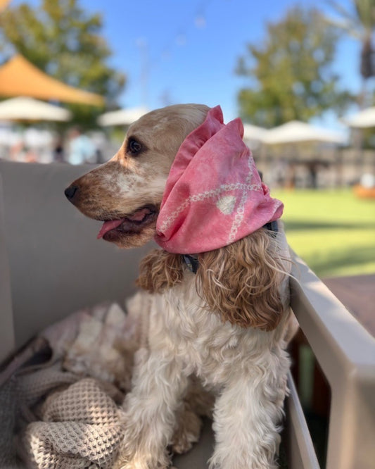 鹿の子絞りスヌード(ピンク)