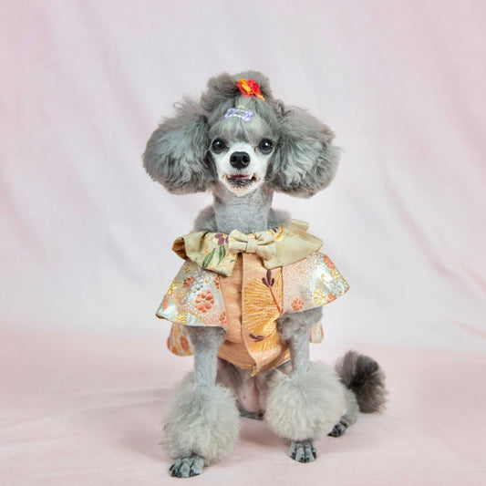 菊香散集ピエロ襟ブラウス(M)