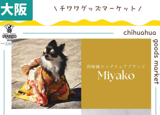 チワワEXPOのフライヤー