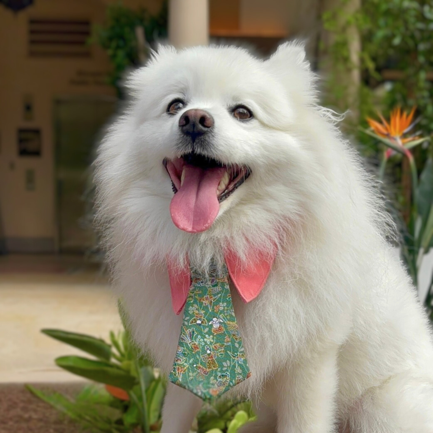 ドッグネクタイ