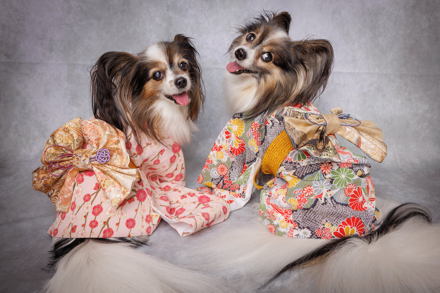 Rental Dog Kimono