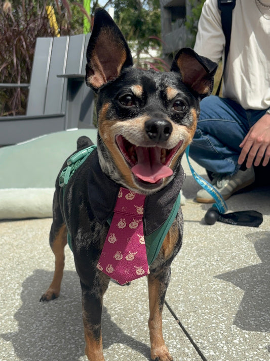 丹後ちりめんうさぎネクタイ