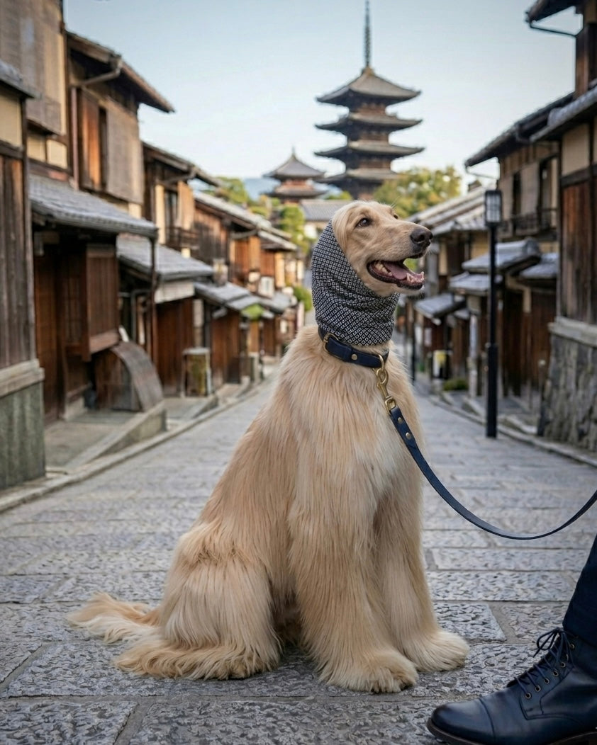 Miyako Dog Kimono