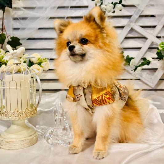 慶長松扇絵図ブラウス（XS)