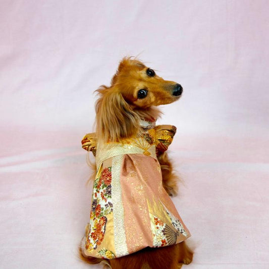 菊寄短冊バルーンワンピース（S）