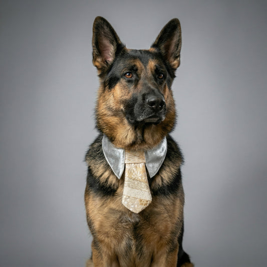 西陣織縦重ね小袖ネクタイ（ホワイト）