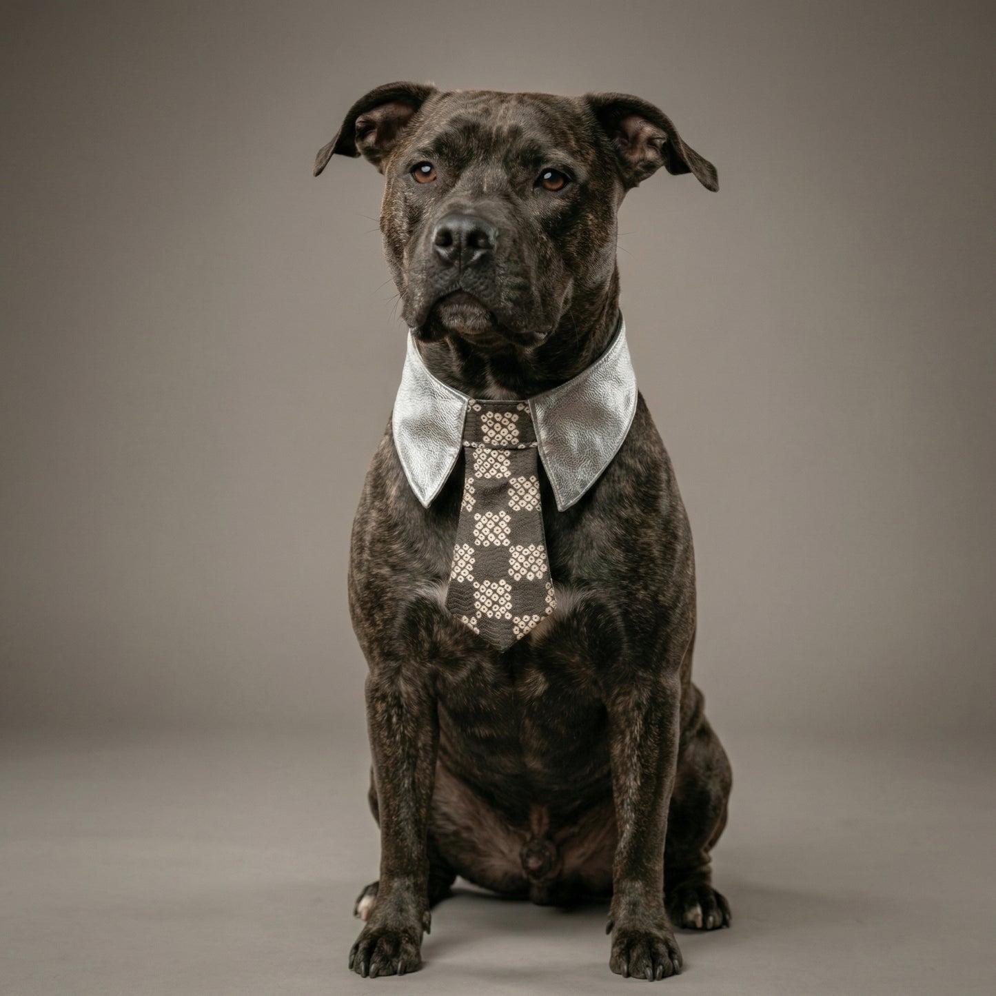 西陣織絞り市松ネクタイ