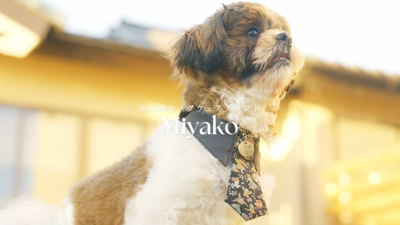 動画を読み込む: 